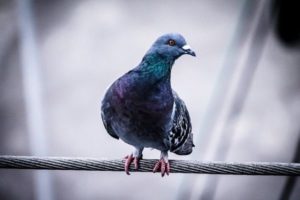 2036-08-18 08:20:00