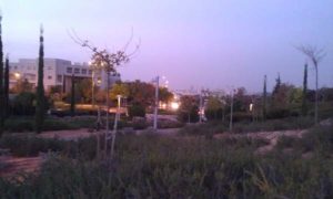 2014-11-12 00:00:00