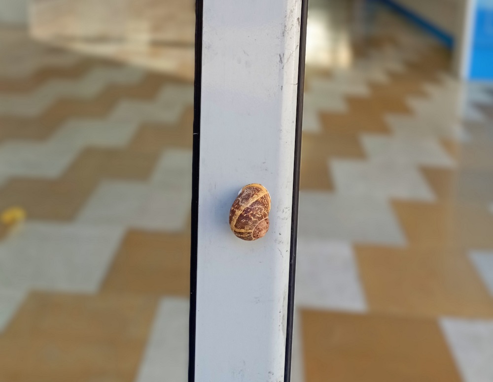רגע בעיר