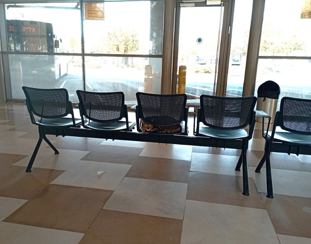 רגע בעיר (3)